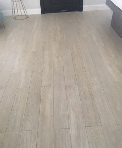  Cleaning and seal porcelain floor (before)